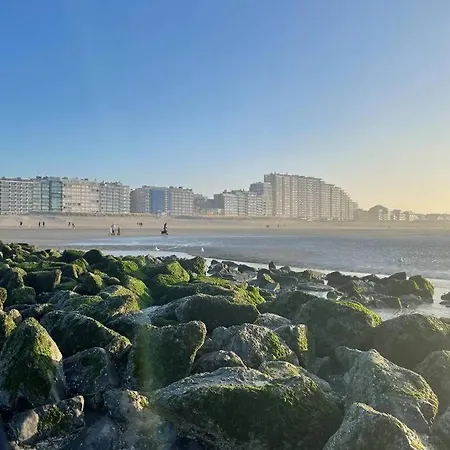 Residentie Laurence - 'seagirl' *